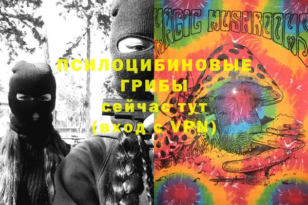 СК Алексеевка