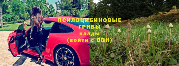стафф Алексин