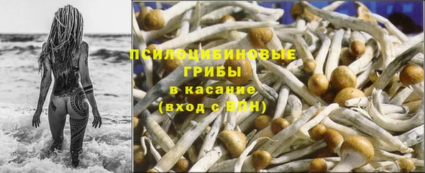 стафф Алексин