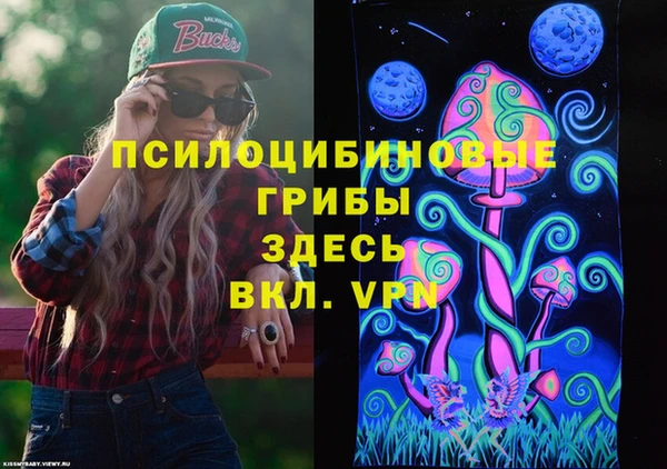 СК Алексеевка