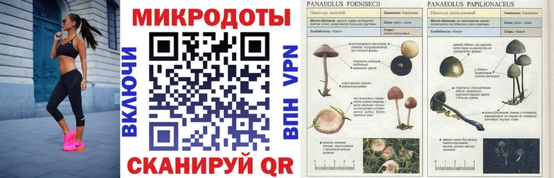 Купить  Самара  Псилоцибиновые грибы прущие грибы 